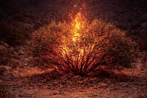 Message for Lent - Pope Leo XIV