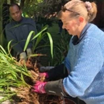 Not quite 'Gardening Australia'