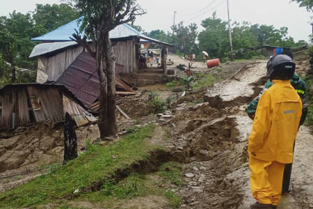 'I’ve never seen such horrific damage...'